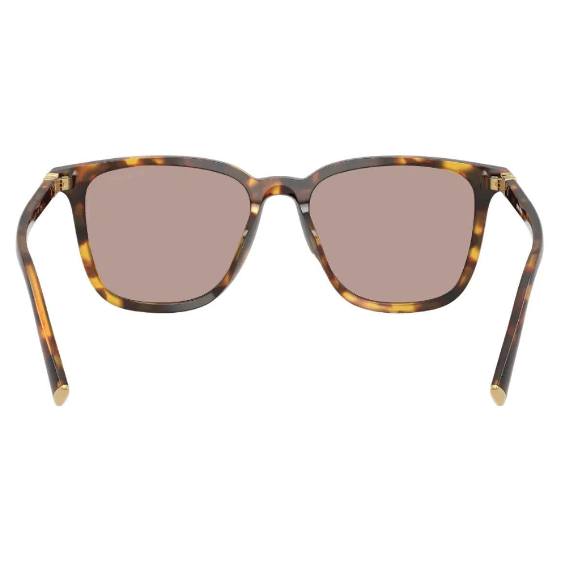 Miu Miu Women Square Honey Havana / Light Purple Brown Sunglasses