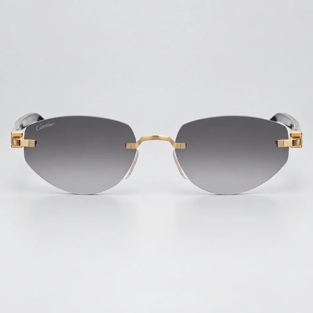 Cartier C Décor Unisex Geometric Frame Grey Gradient Sunglasses