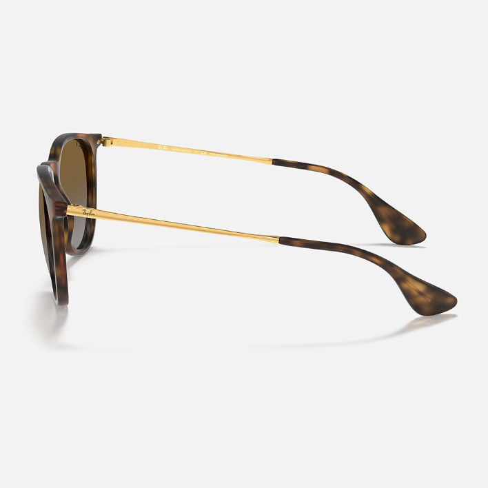 Ray Ban Men Phantos Frame Matte Havana Sunglasses
