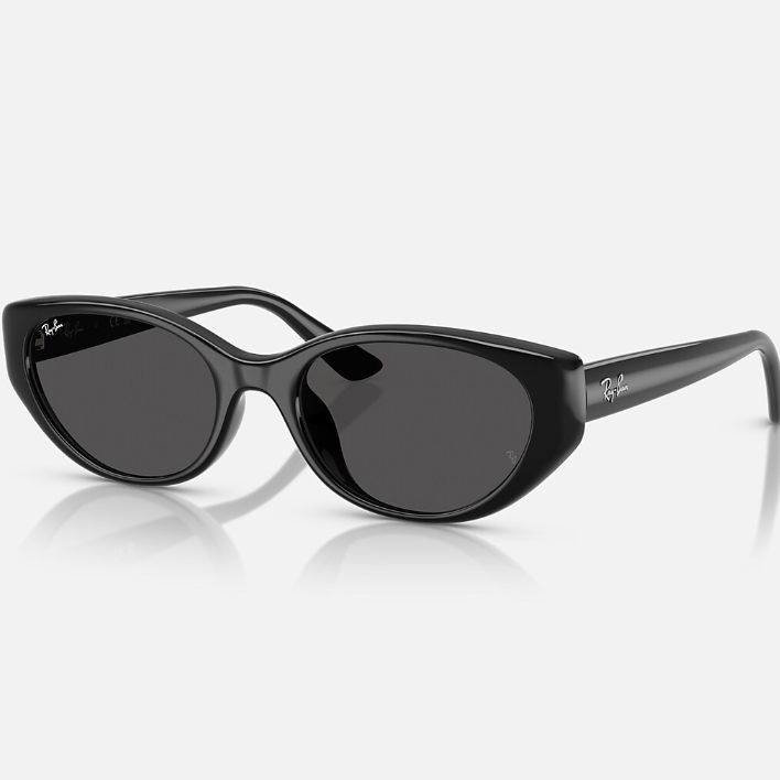 Ray Ban Women Pillow Frame Shiny Polished Black Sunglasses