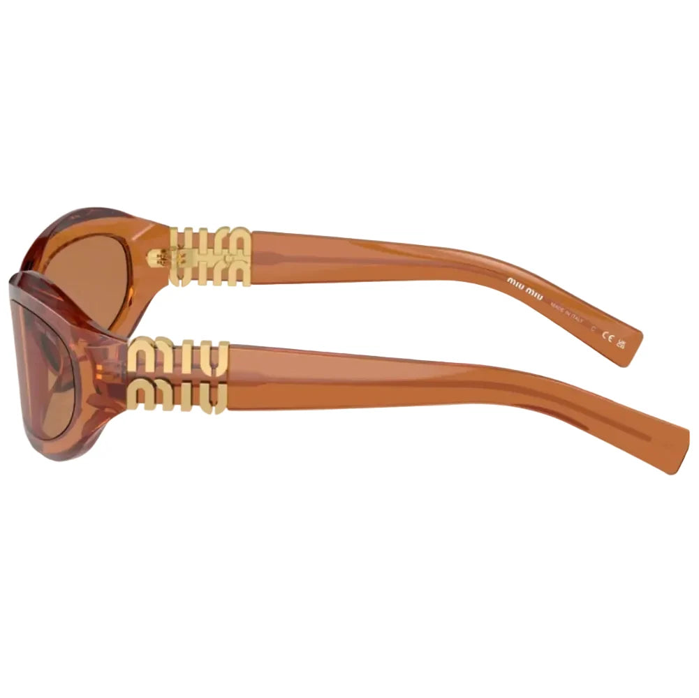 Miu Miu Women Transparent Caramel / Brown Sunglasses